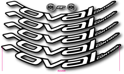 2020-22-ROVAL-CONTROL-Carbon-29er-(622x25)-stickers-White